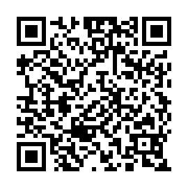 QR 538aa73