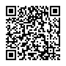 QR 538d053