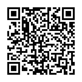 QR 53900ef