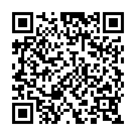 QR 5391a33