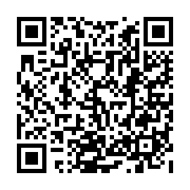 QR 53a0095