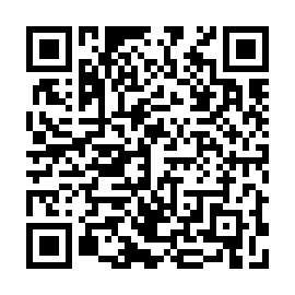 QR 53a56b8
