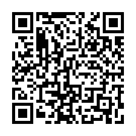 QR 53a65e6