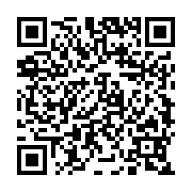 QR 53a916d