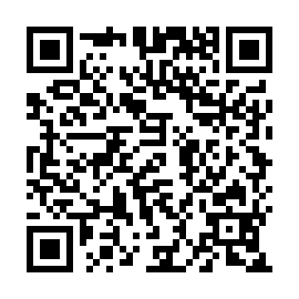 QR 53ac20a
