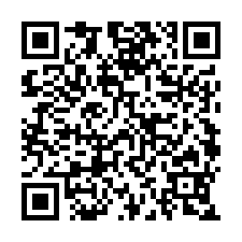 QR 53b6ef6