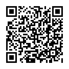 QR 53b7333