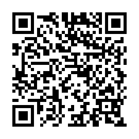 QR 53bc781