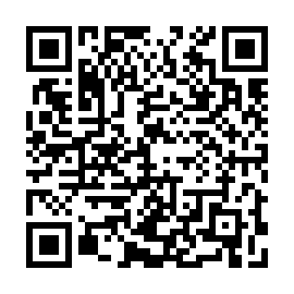 QR 53c19b8