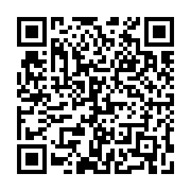 QR 53c49a3