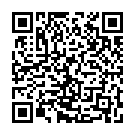 QR 53c4ce8