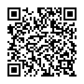 QR 53c61db