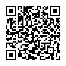 QR 53c6bf8