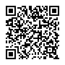 QR 53c9a0e