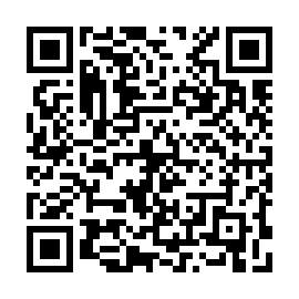 QR 53cb481