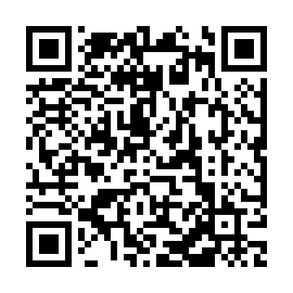 QR 53cb51b