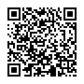 QR 53cbee5
