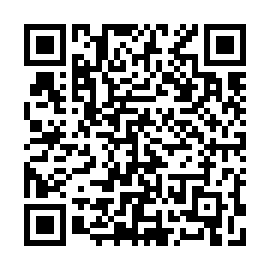 QR 53cce1b