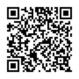 QR 53d11cc