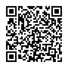 QR 53d913b
