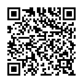 QR 53dd061