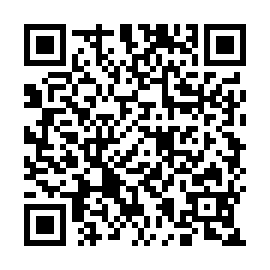 QR 53dea50