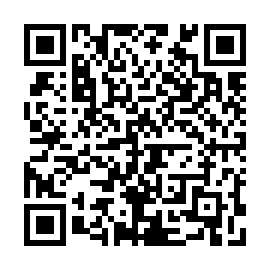 QR 53e0ba2