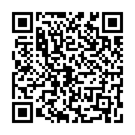 QR 53e3aed