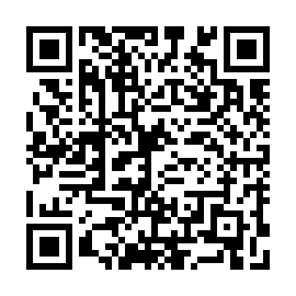 QR 53e8187