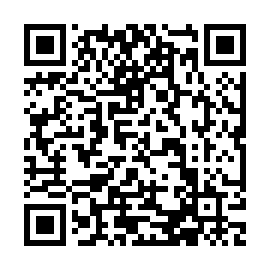 QR 53e81e3