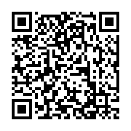 QR 53e9813
