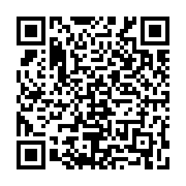 QR 53eff3b