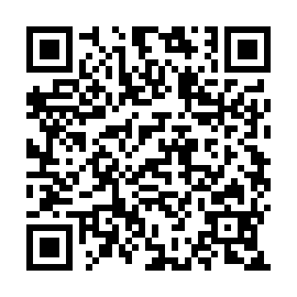QR 53f2cbb