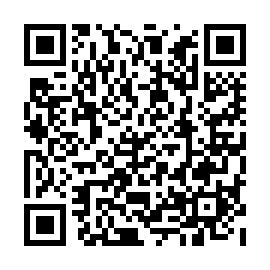 QR 541034d