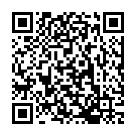 QR 541338d