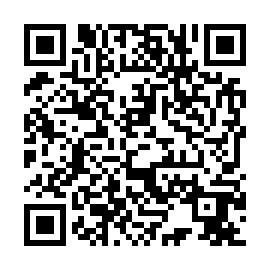 QR 541a389