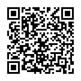 QR 541bb81