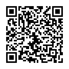 QR 541bbca