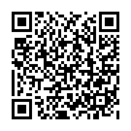 QR 541bc3d