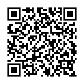 QR 55e33ff