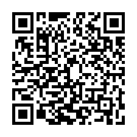 QR 5e90838