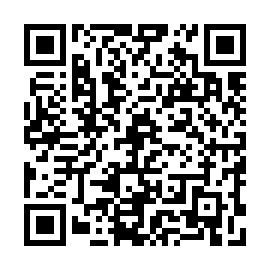 QR 6028335