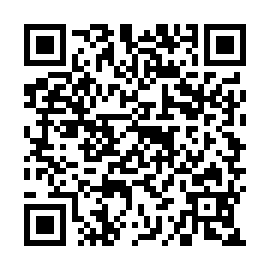 QR 6050325
