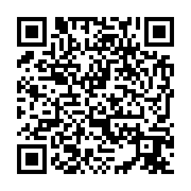QR 60b3c29