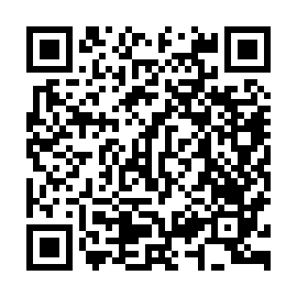 QR 6132325