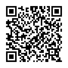 QR 6146133