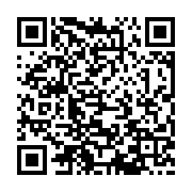 QR 619381e