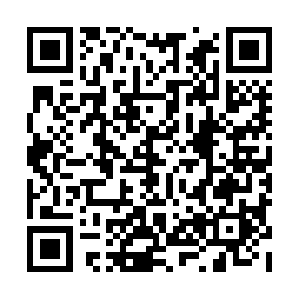 QR 6319295