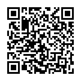 QR 631a738