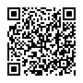 QR 6323813